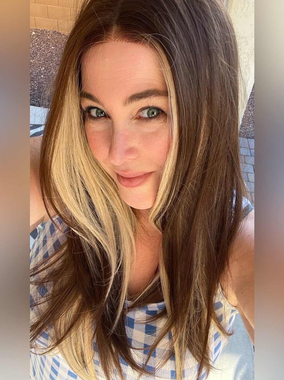 Long Auburn Brown Synthy Wig with Blonde Highlights
